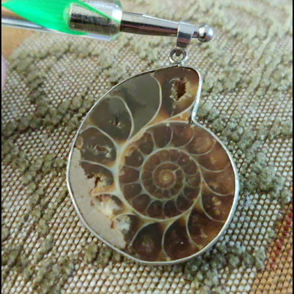 Ammonite Fossil Pendant